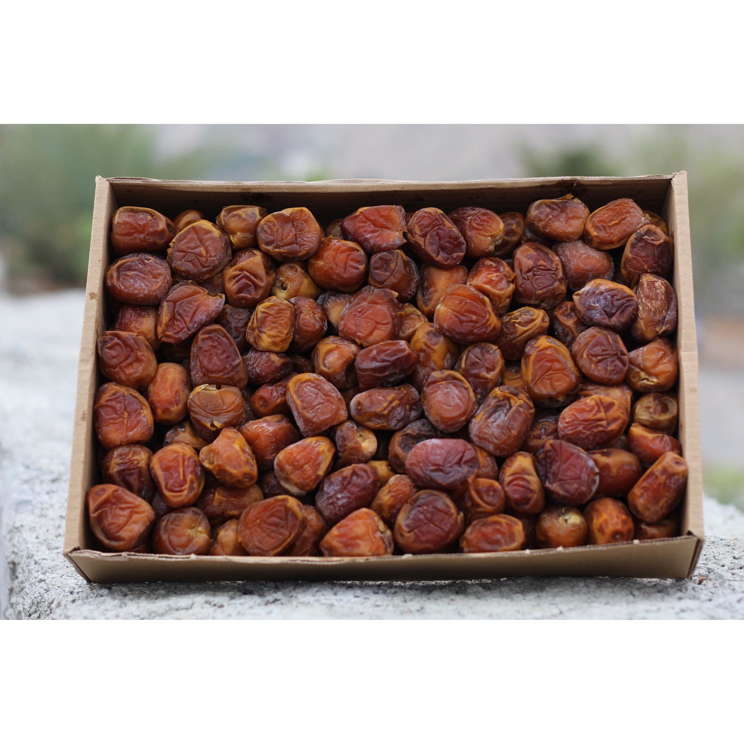 سكرى رطب جامبو - Nakhla w nahla
