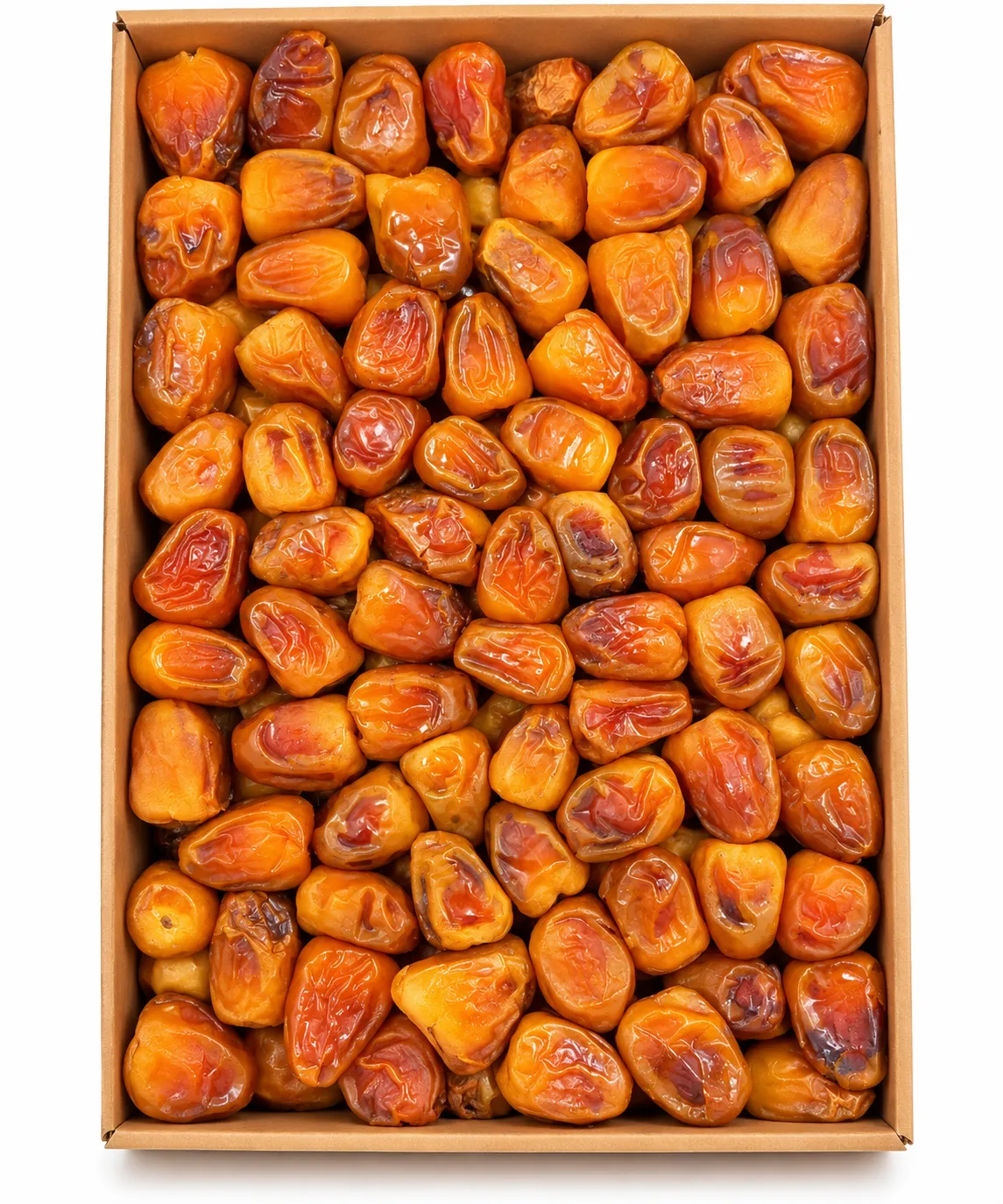 سكري رطب جامبو – 3 كيلو