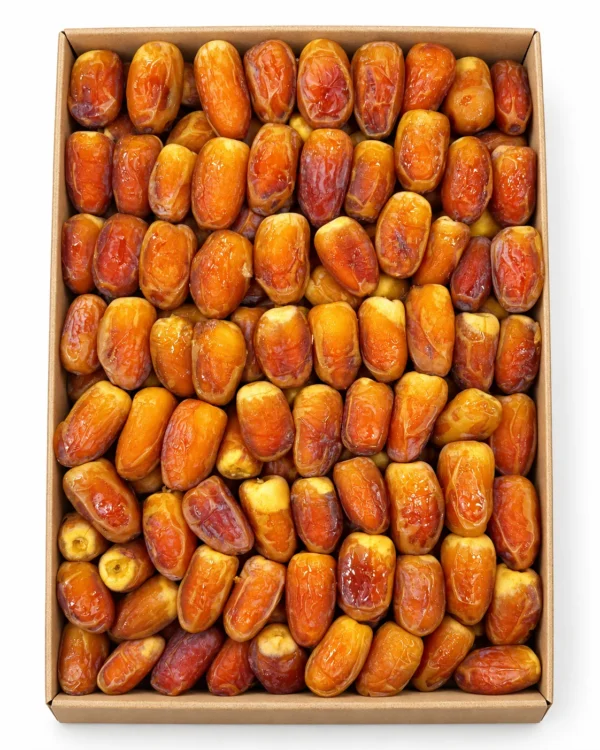 صقعي رطب جامبو – 3 كيلو