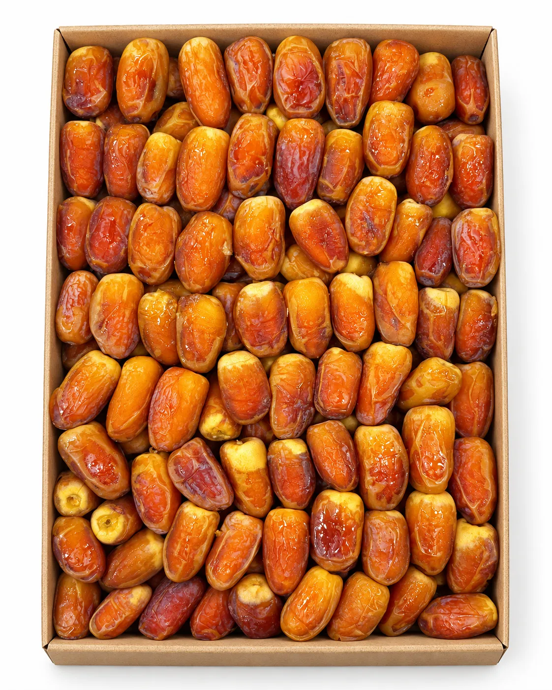صقعي رطب جامبو – 3 كيلو